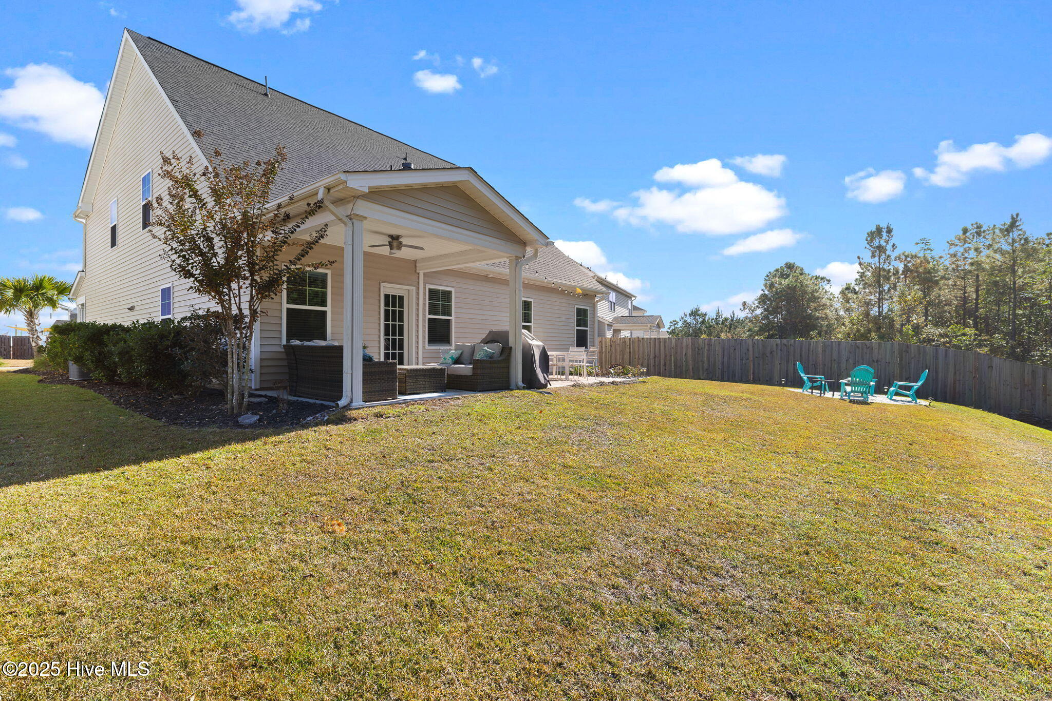 100541637 | Photo 50