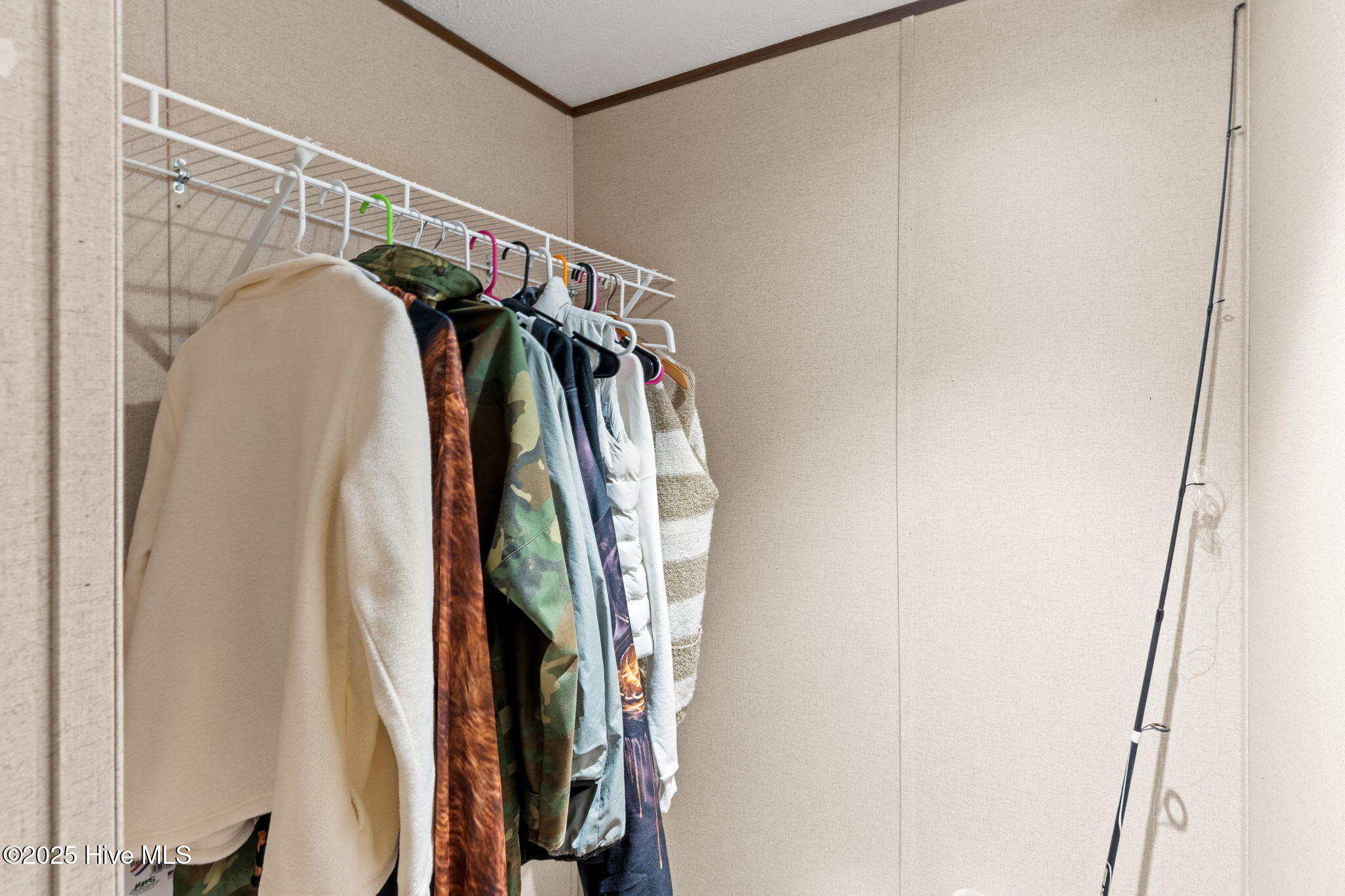 100537809 | Photo 17