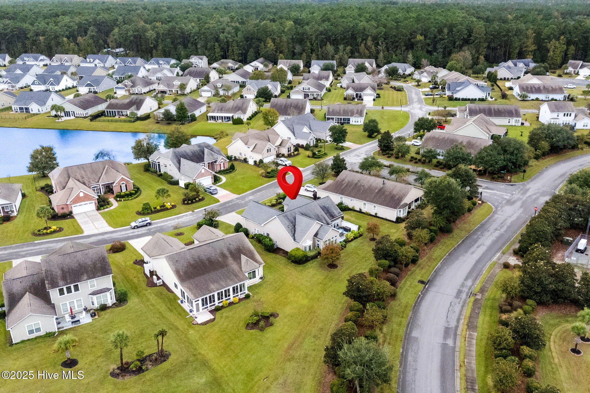 100538854 | Photo 48