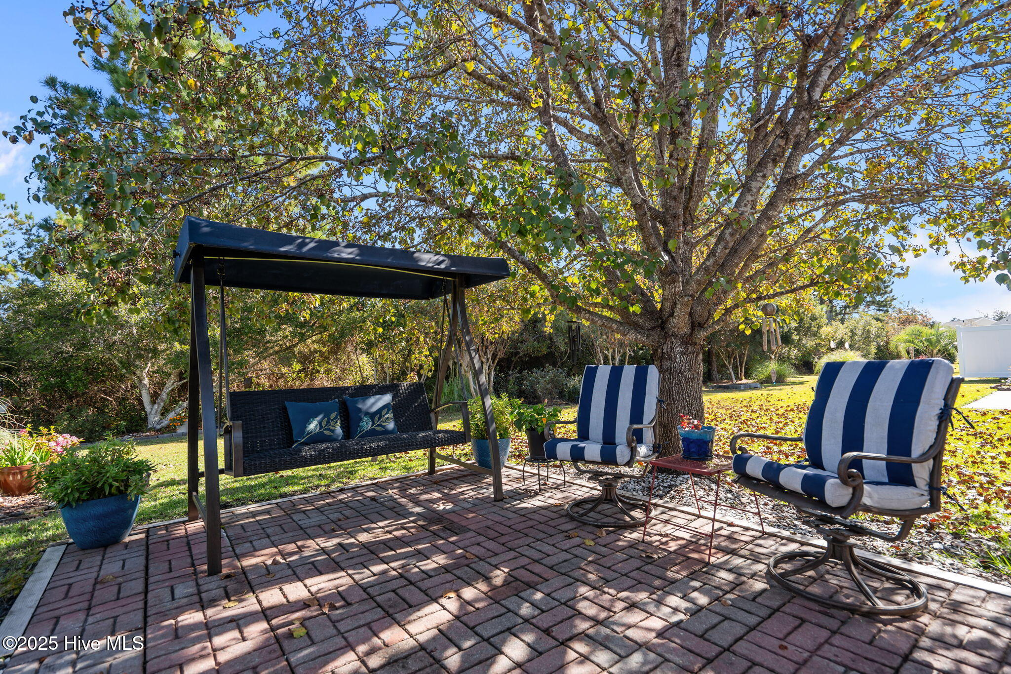 100540137 | Photo 35