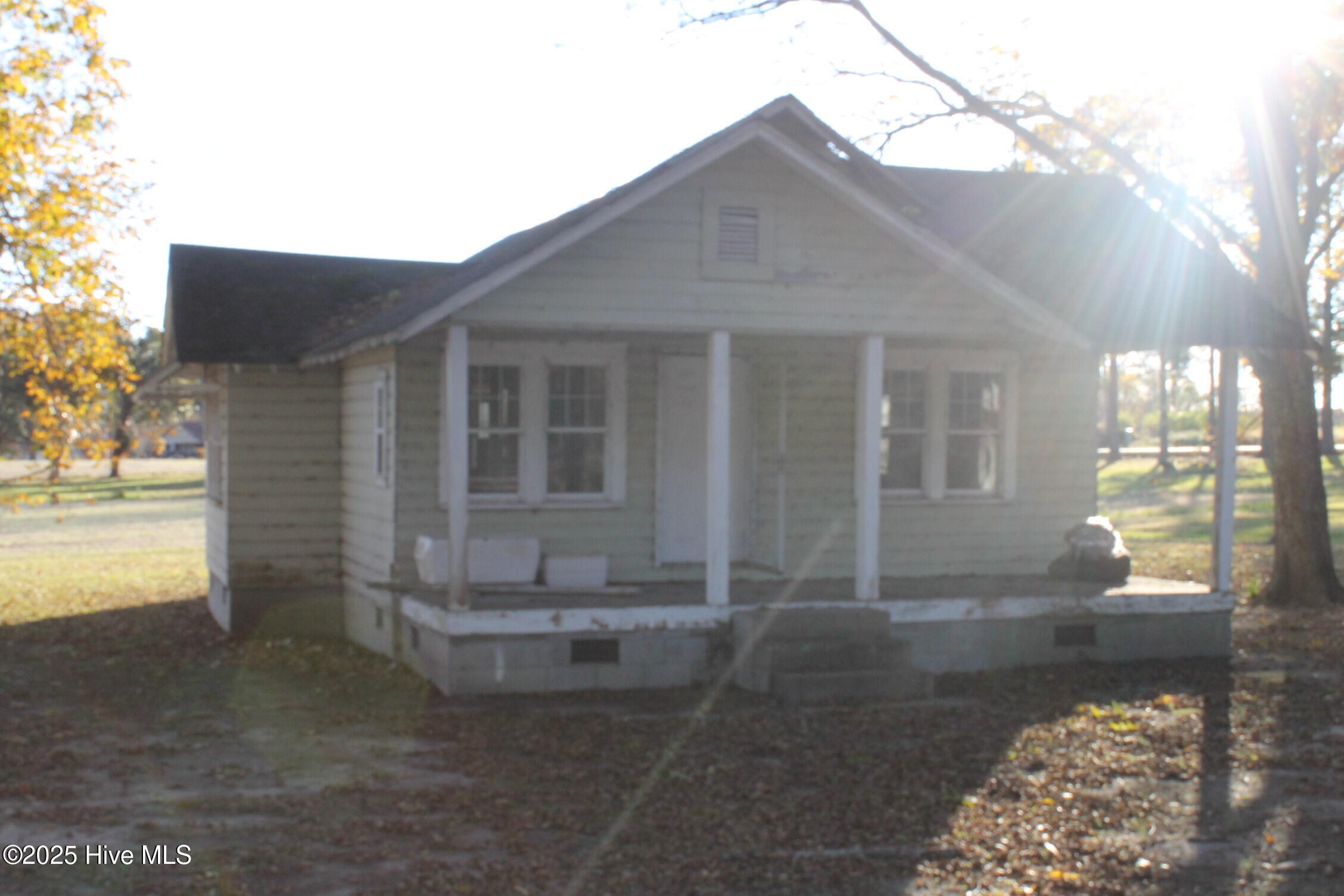 100541435 | Photo 23