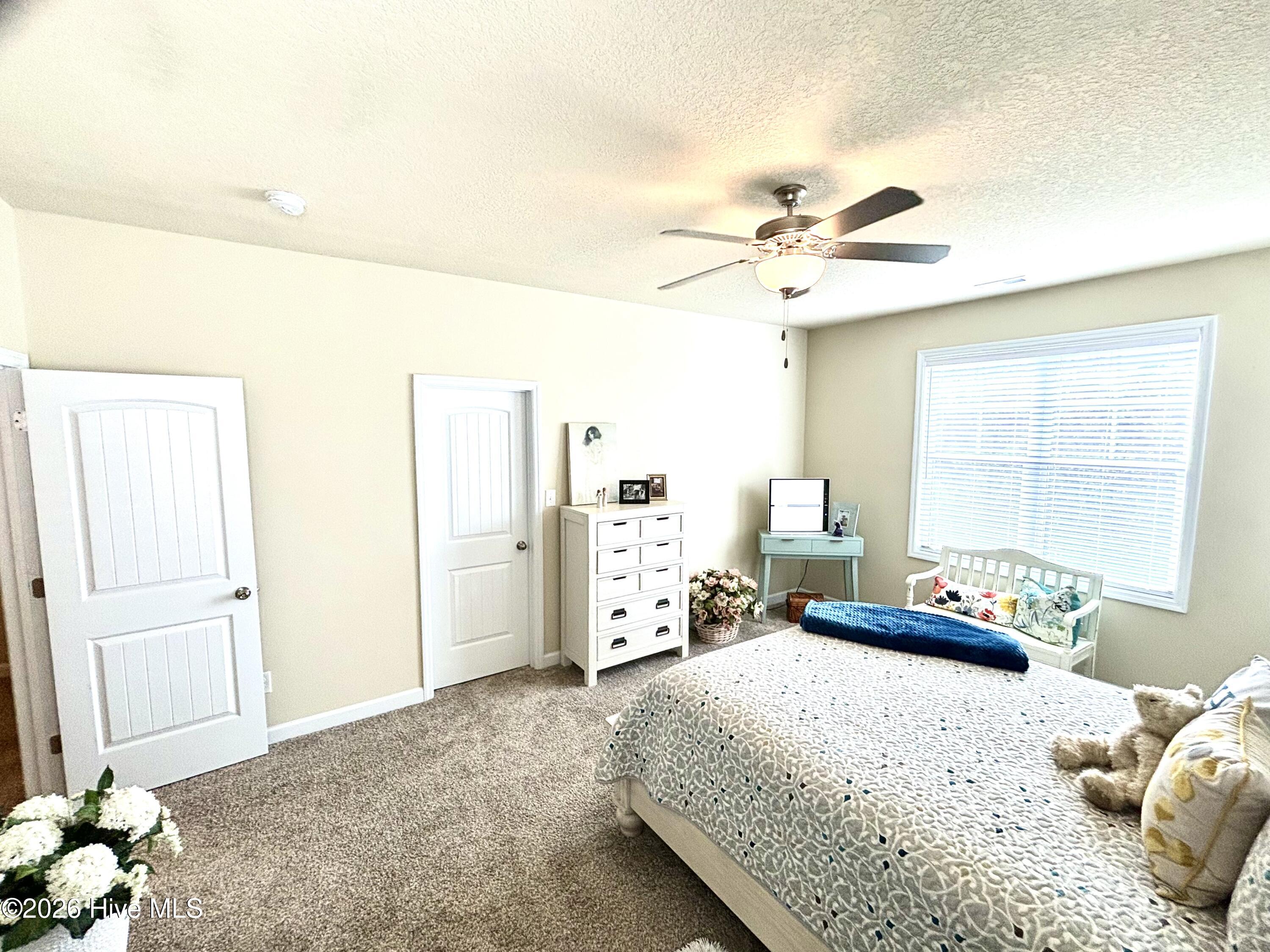 100560675 | Photo 19