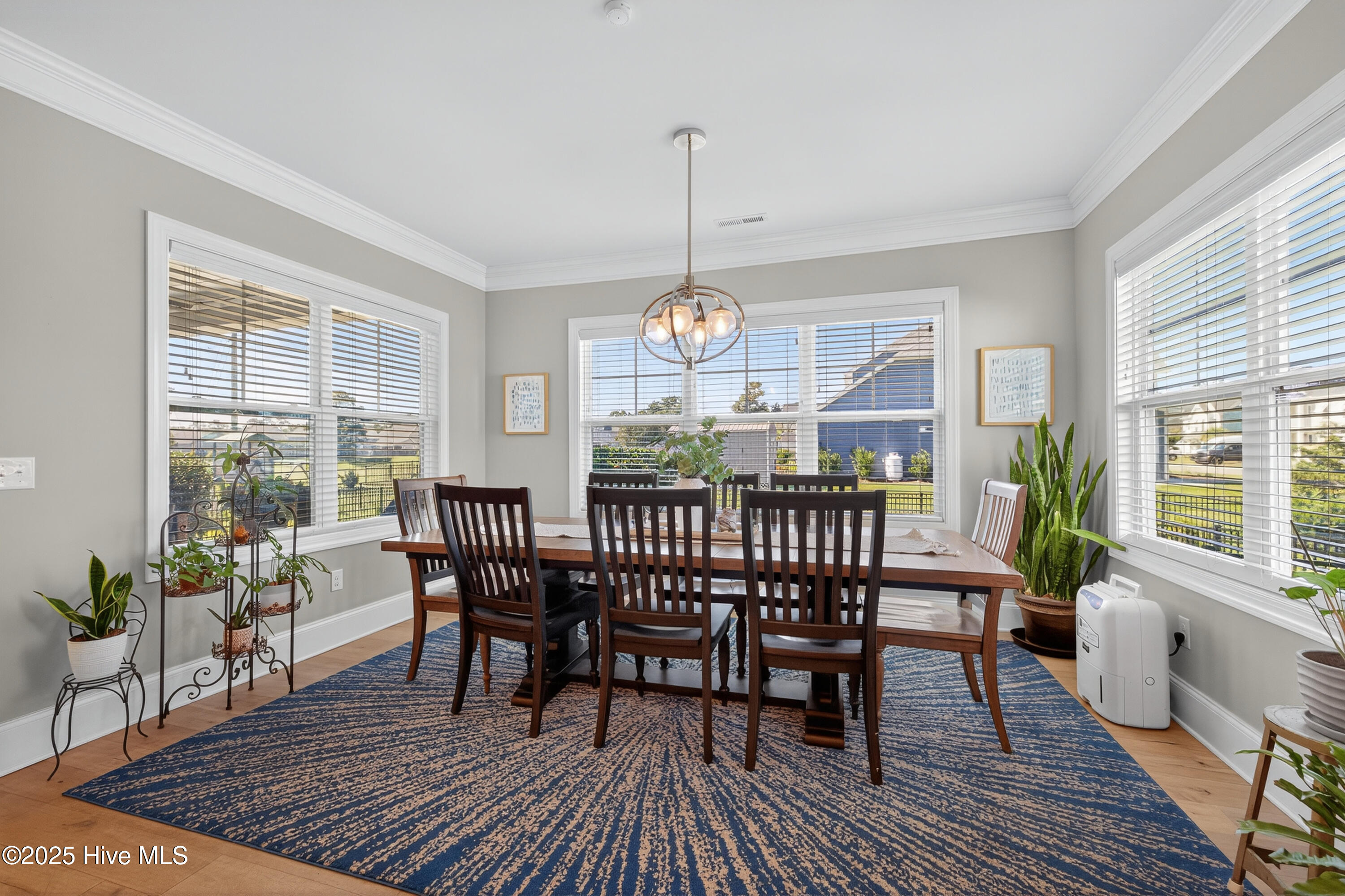 100562726 | Photo 13