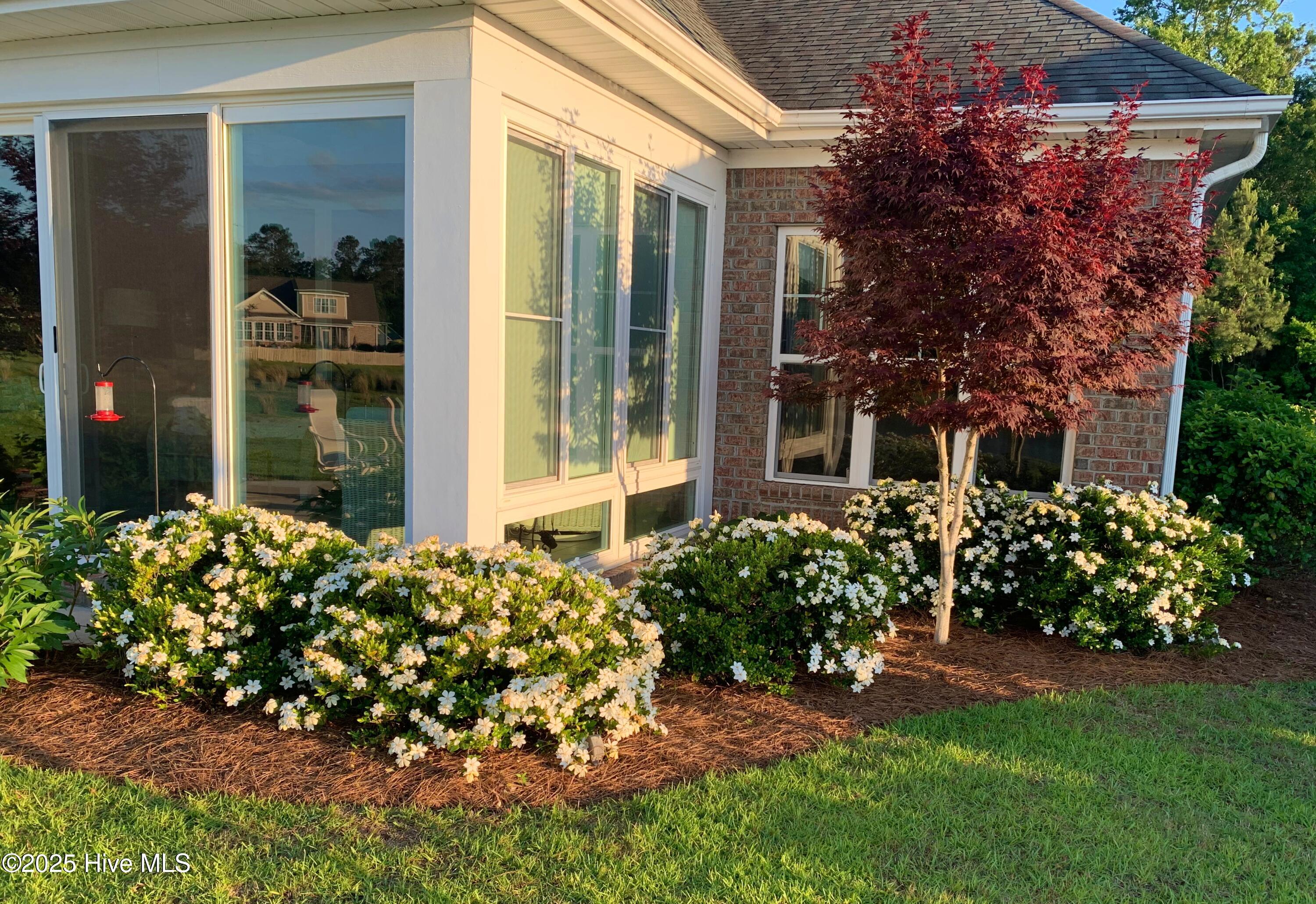 100534763 | Photo 51