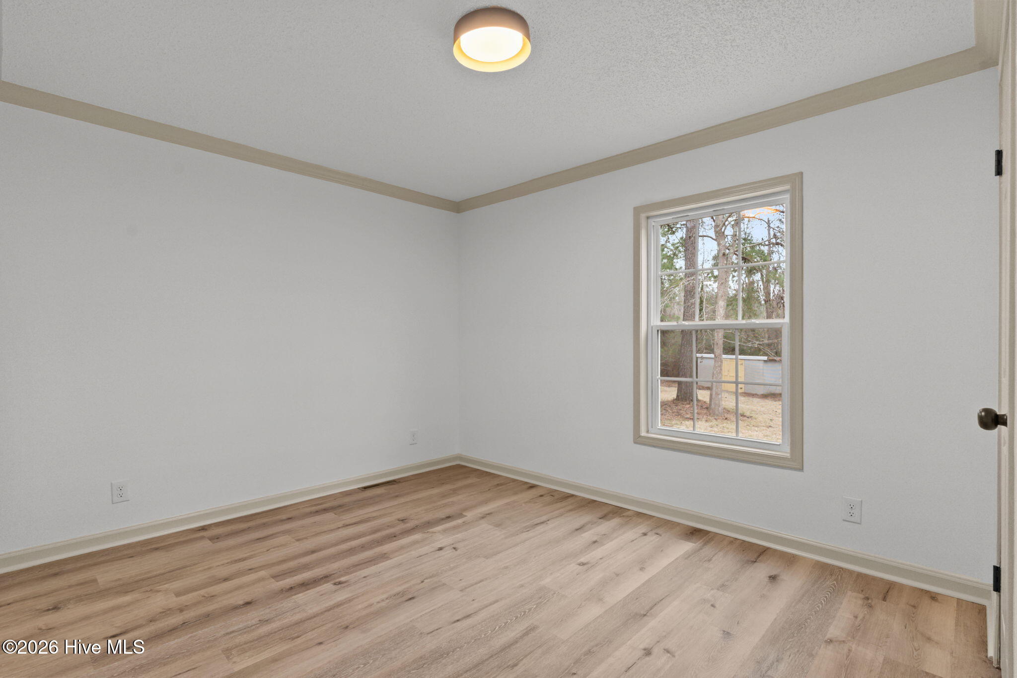 100557203 | Photo 34