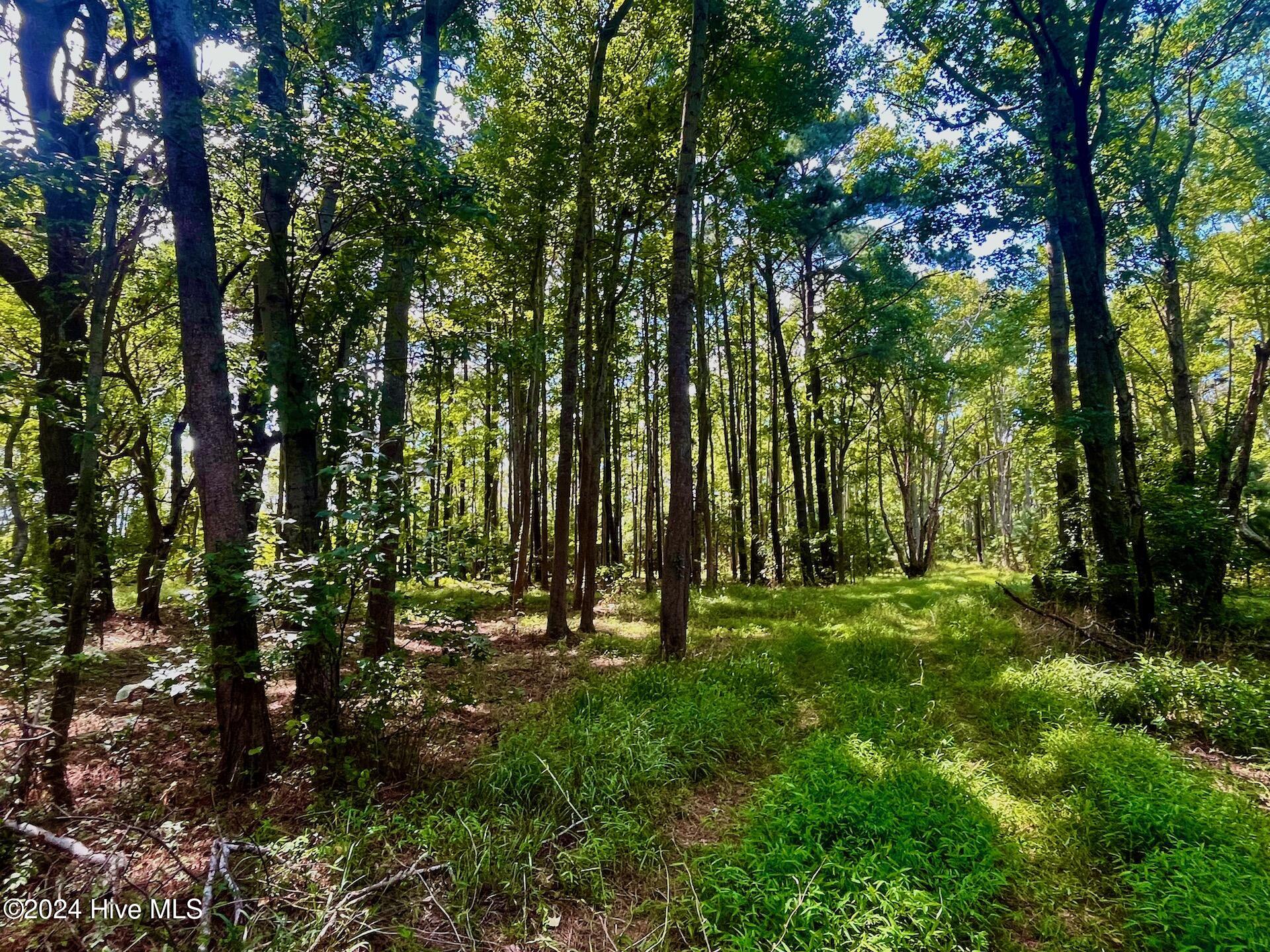 Homes for sale in Powells Point, NC | 0 W Side Ln, Powells Point, NC 27966 | MLS# 100544511