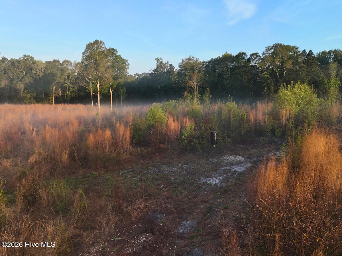 0 Durwood Evans Road, Beulaville, NC, 28518