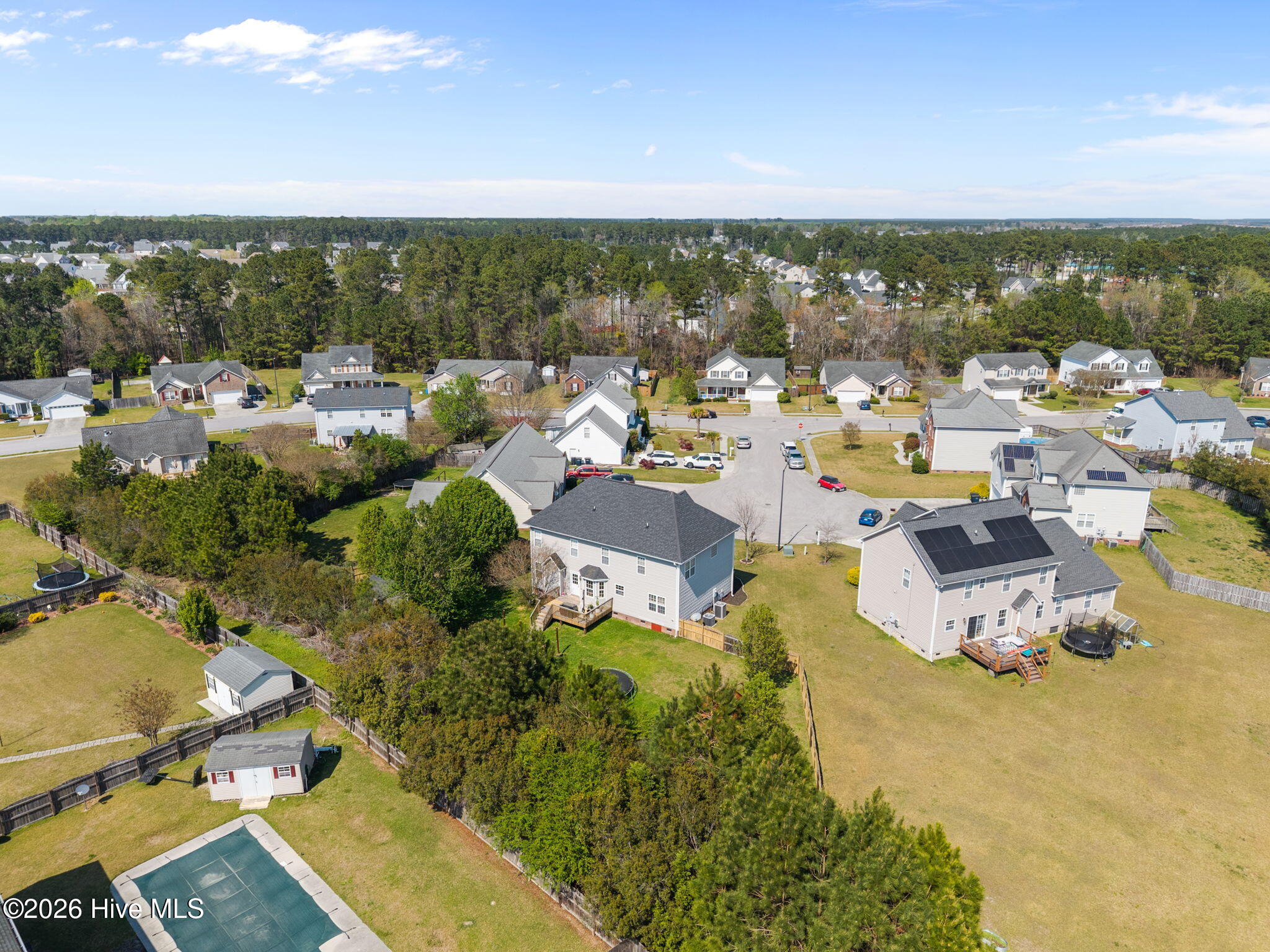 100564262 | Photo 13