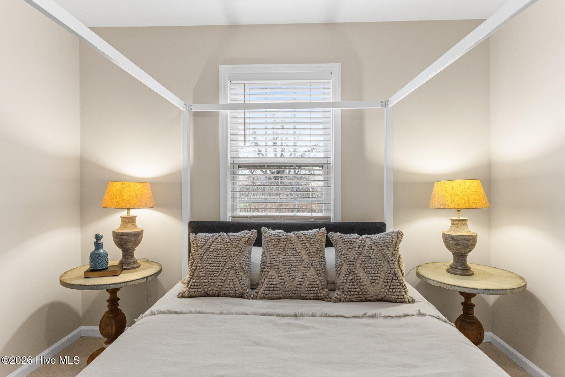 100557697 | Photo 16