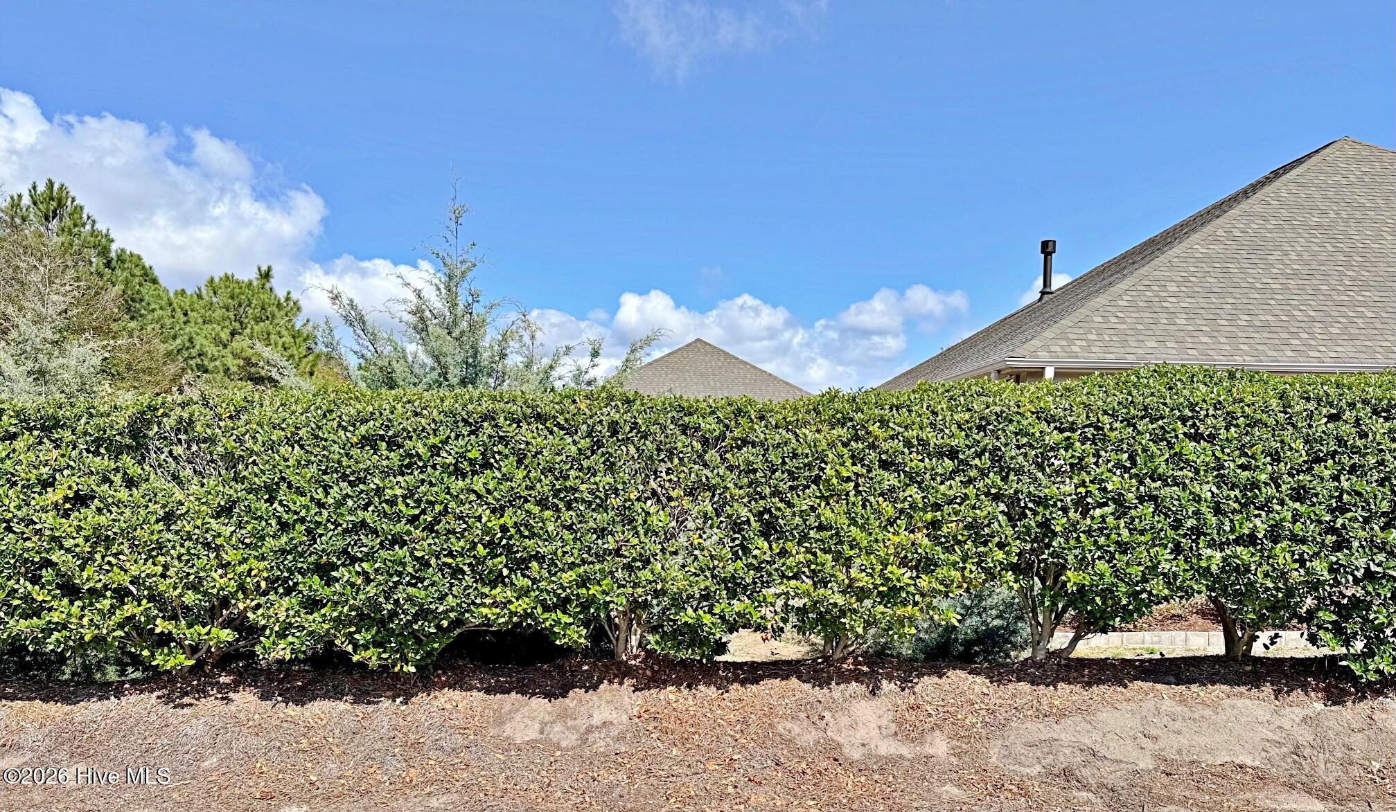 100537475 | Photo 49