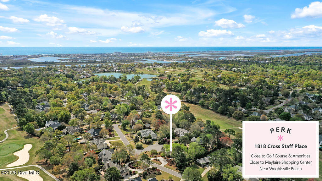 100565103 | Photo 54