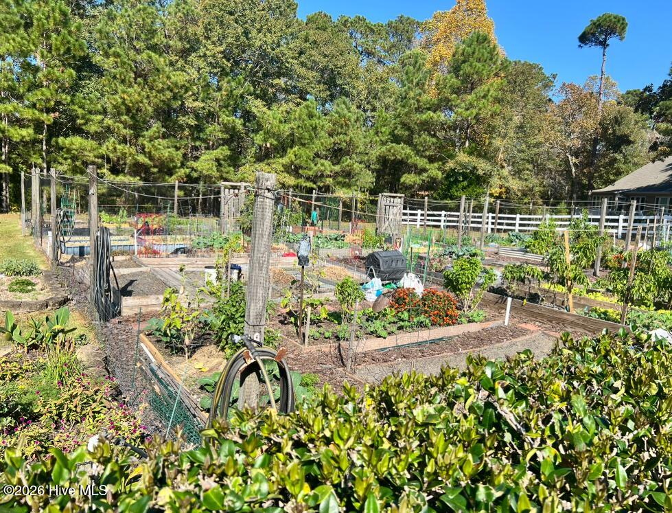 100555417 | Photo 74