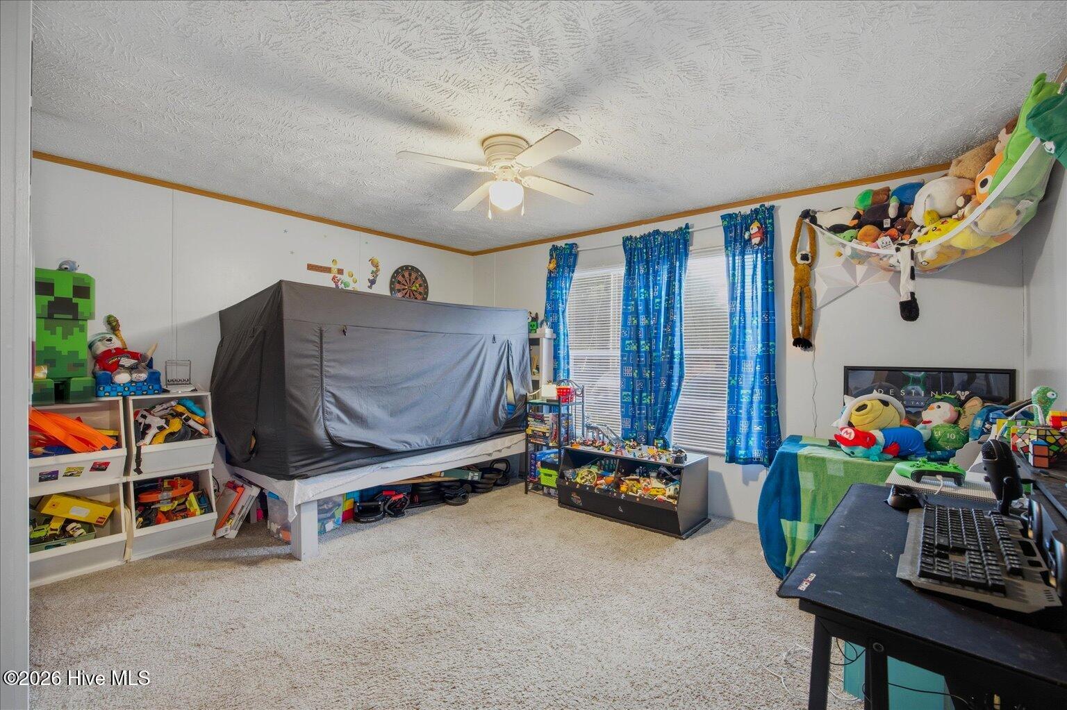 100556219 | Photo 29