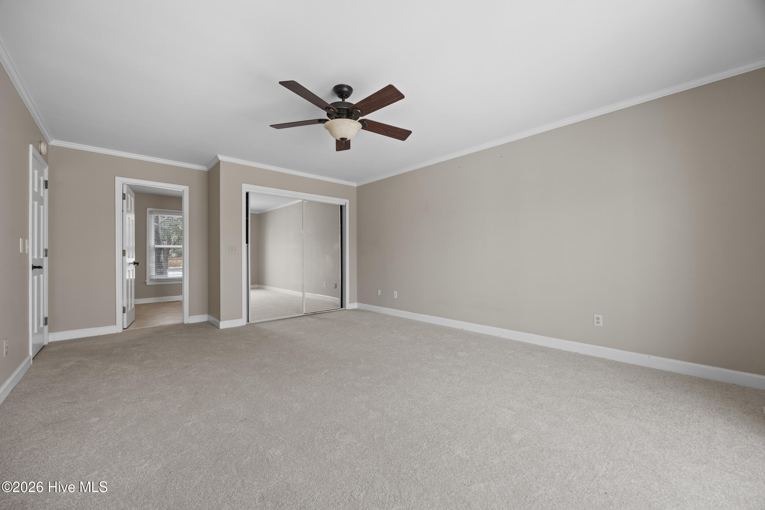 100558264 | Photo 24