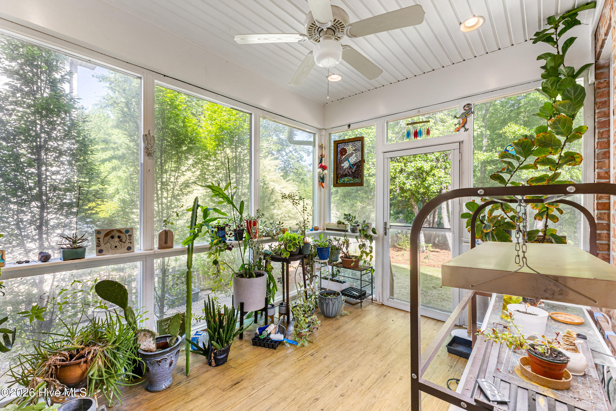 100568239 | Photo 17