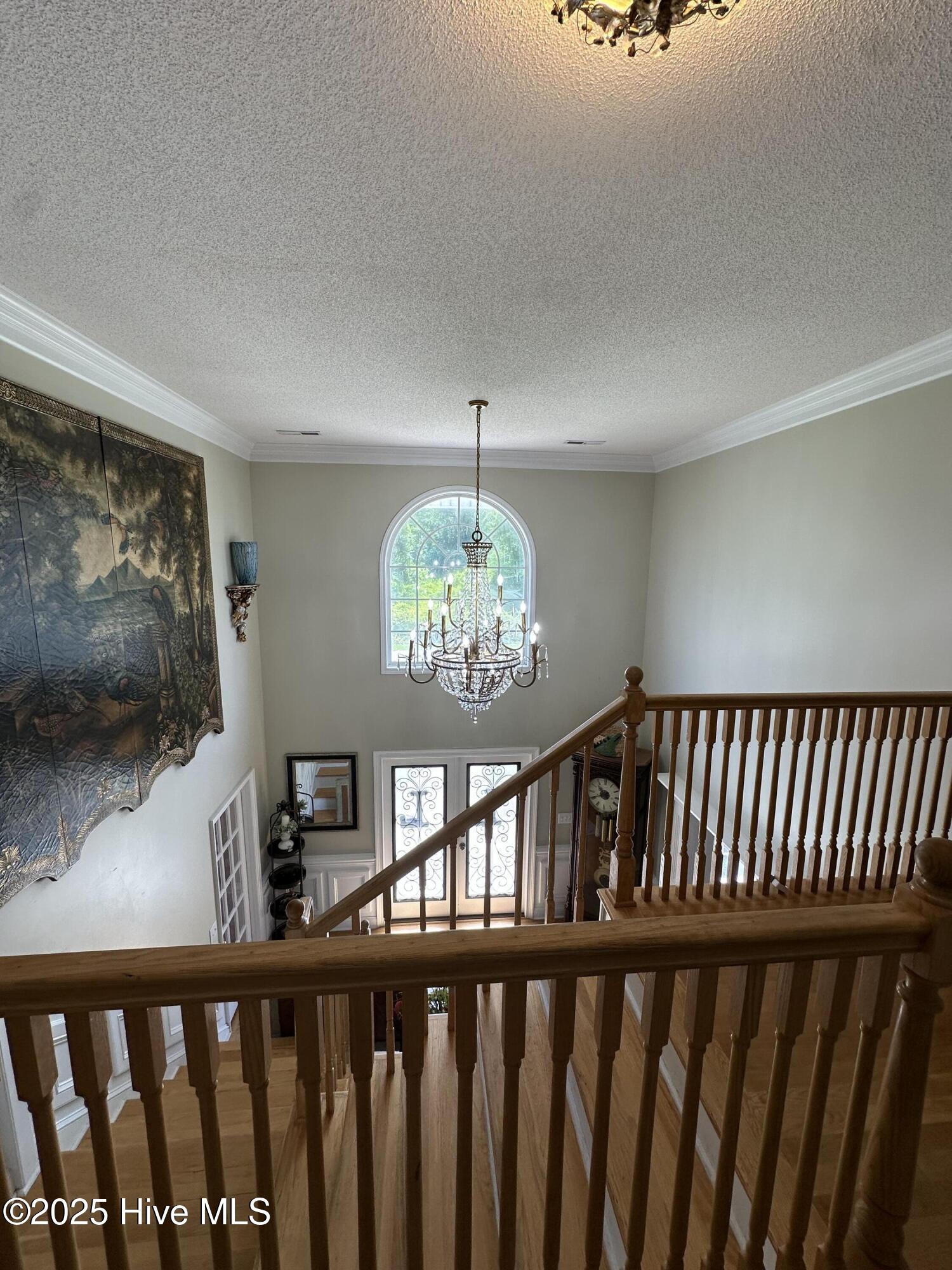 100514130 | Photo 65