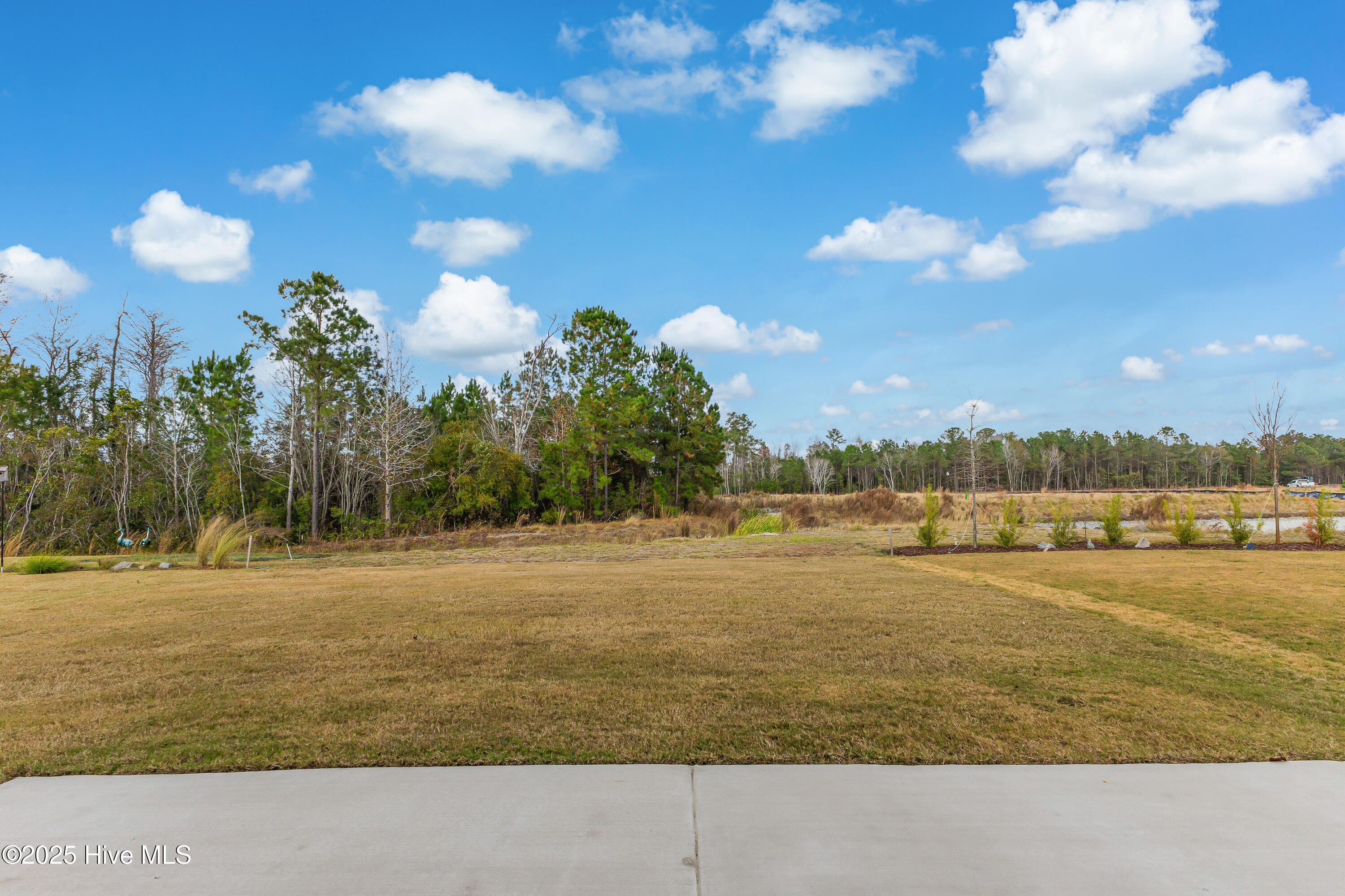 100543075 | Photo 19