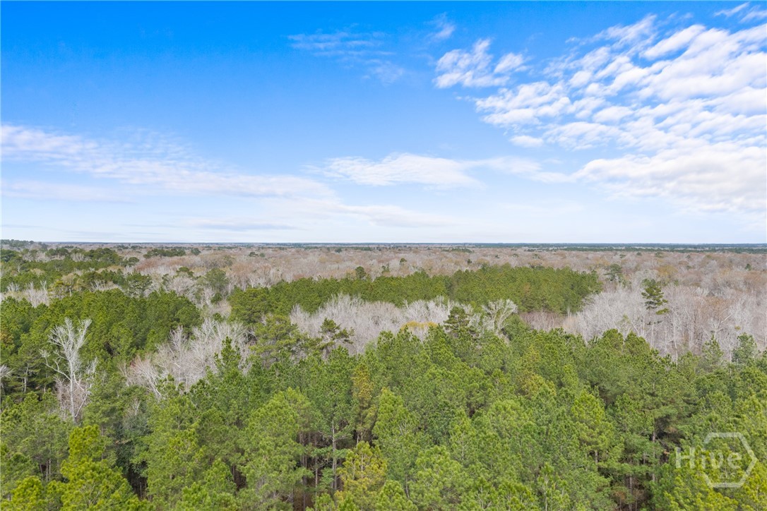 1000 Old River Road S, Brooklet, GA, 30415