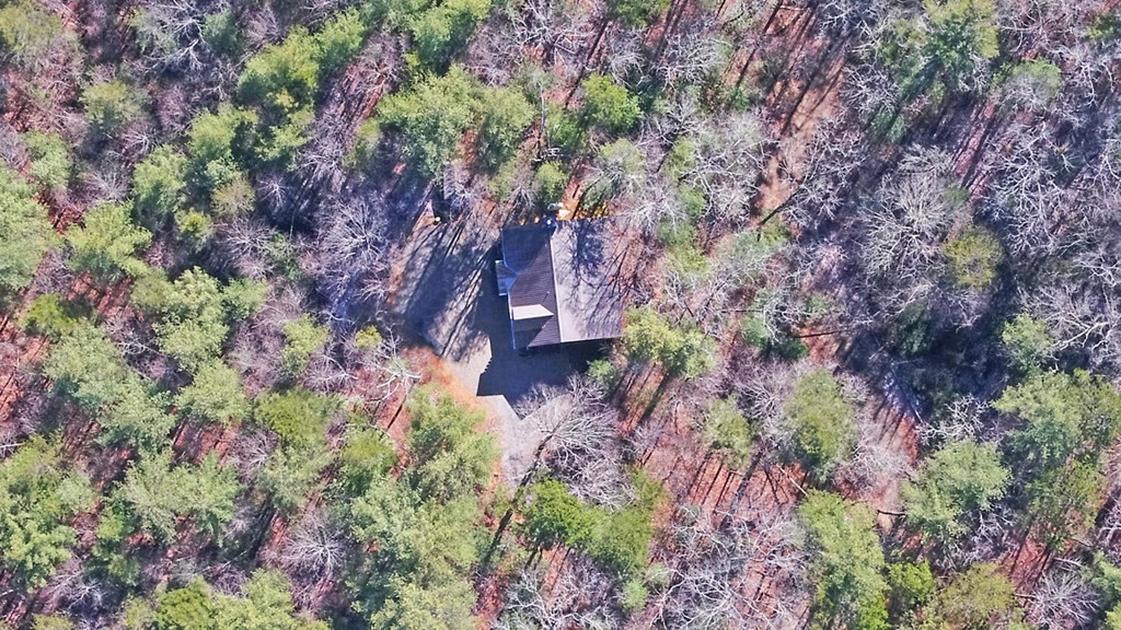483 Vineyard Creek Way, Murphy, NC 28906 Listing Photo  62