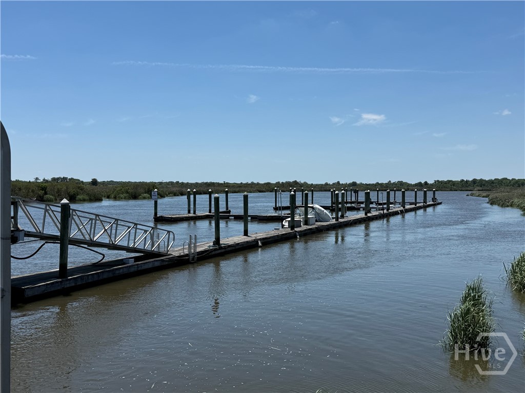 Settlers Bluff Docks