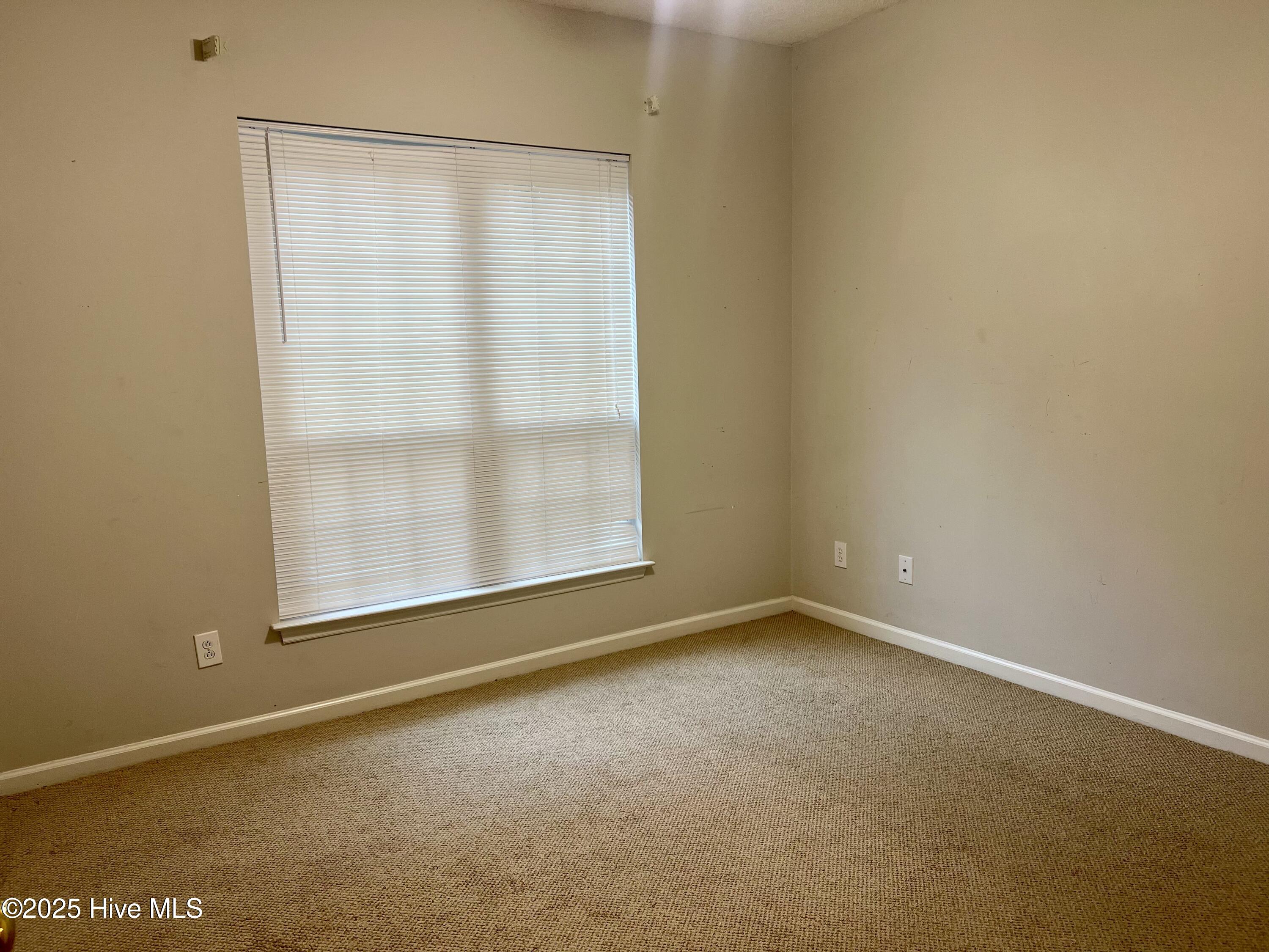 1600 Sturdivant Drive #54, Wilmington, NC 28403 – photo 11: Bedroom 2