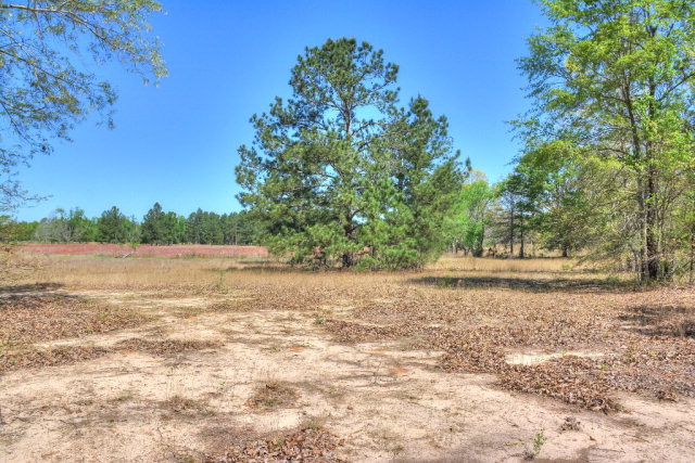 10955 Edgehill Road, Gibson, GA 30810 Listing Photo  37
