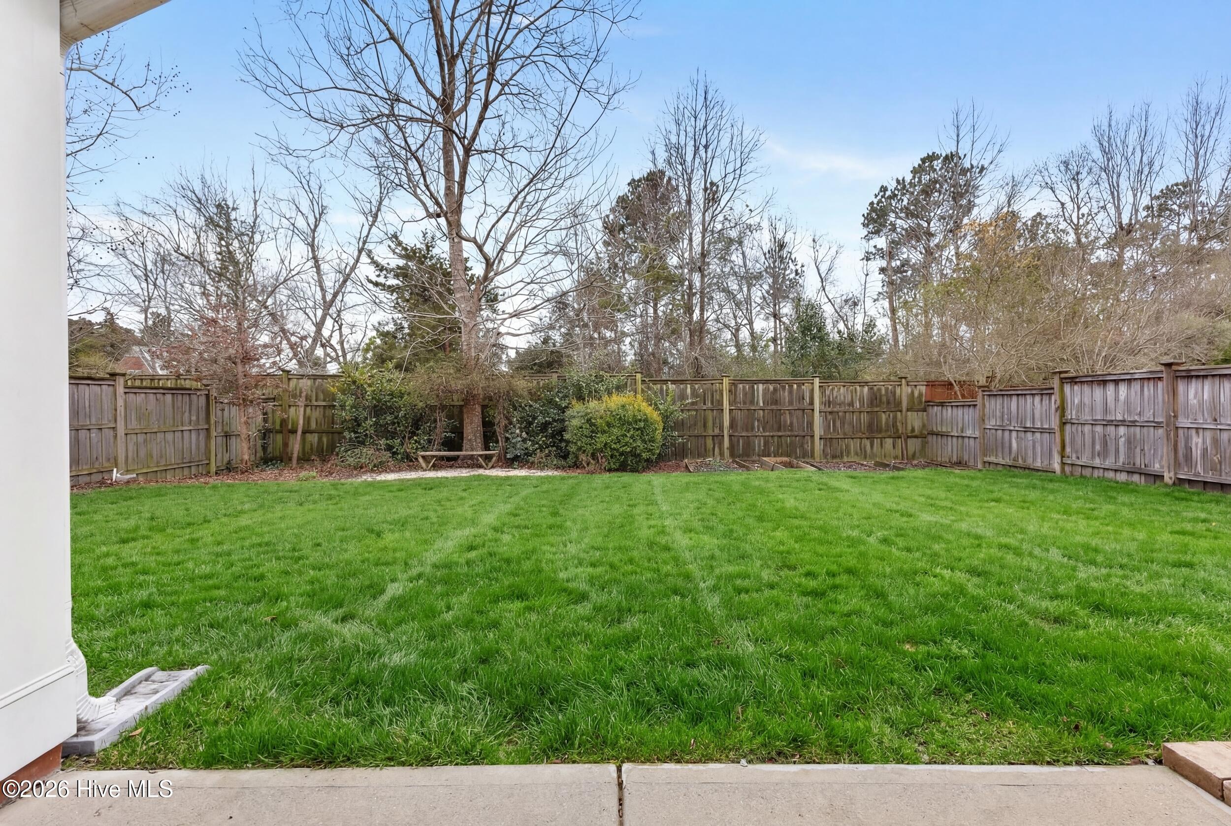 100554071 | Photo 43