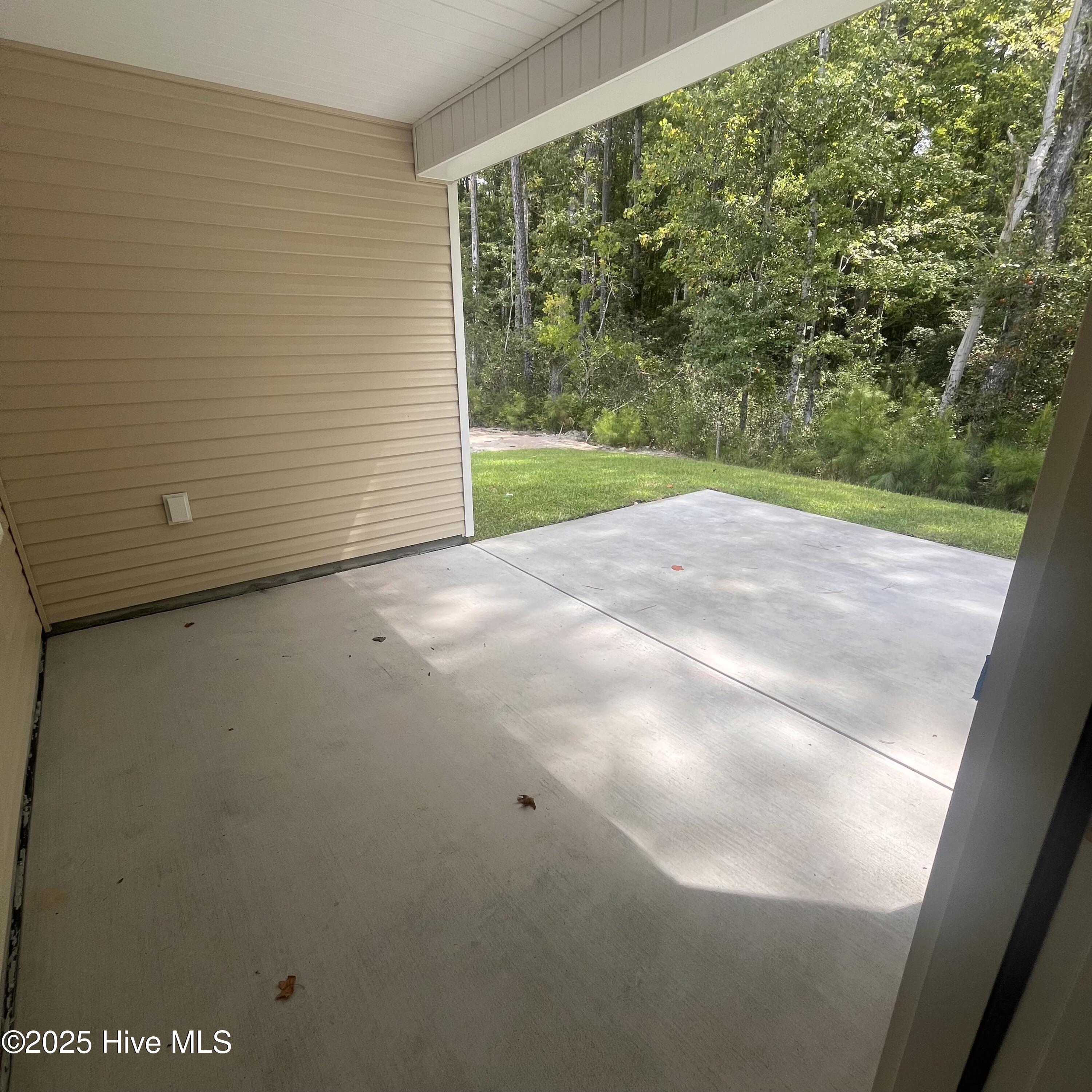 100517298 | Photo 36