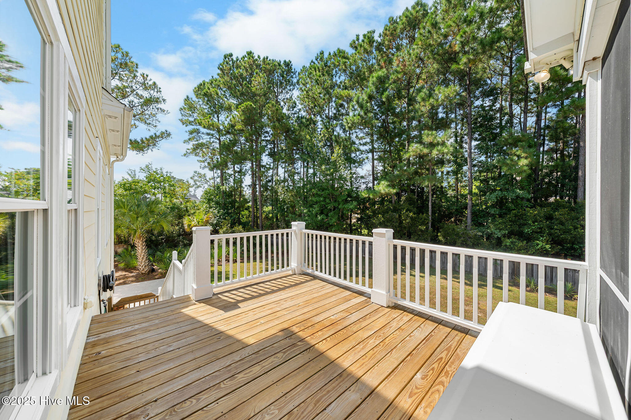 100532416 | Photo 30