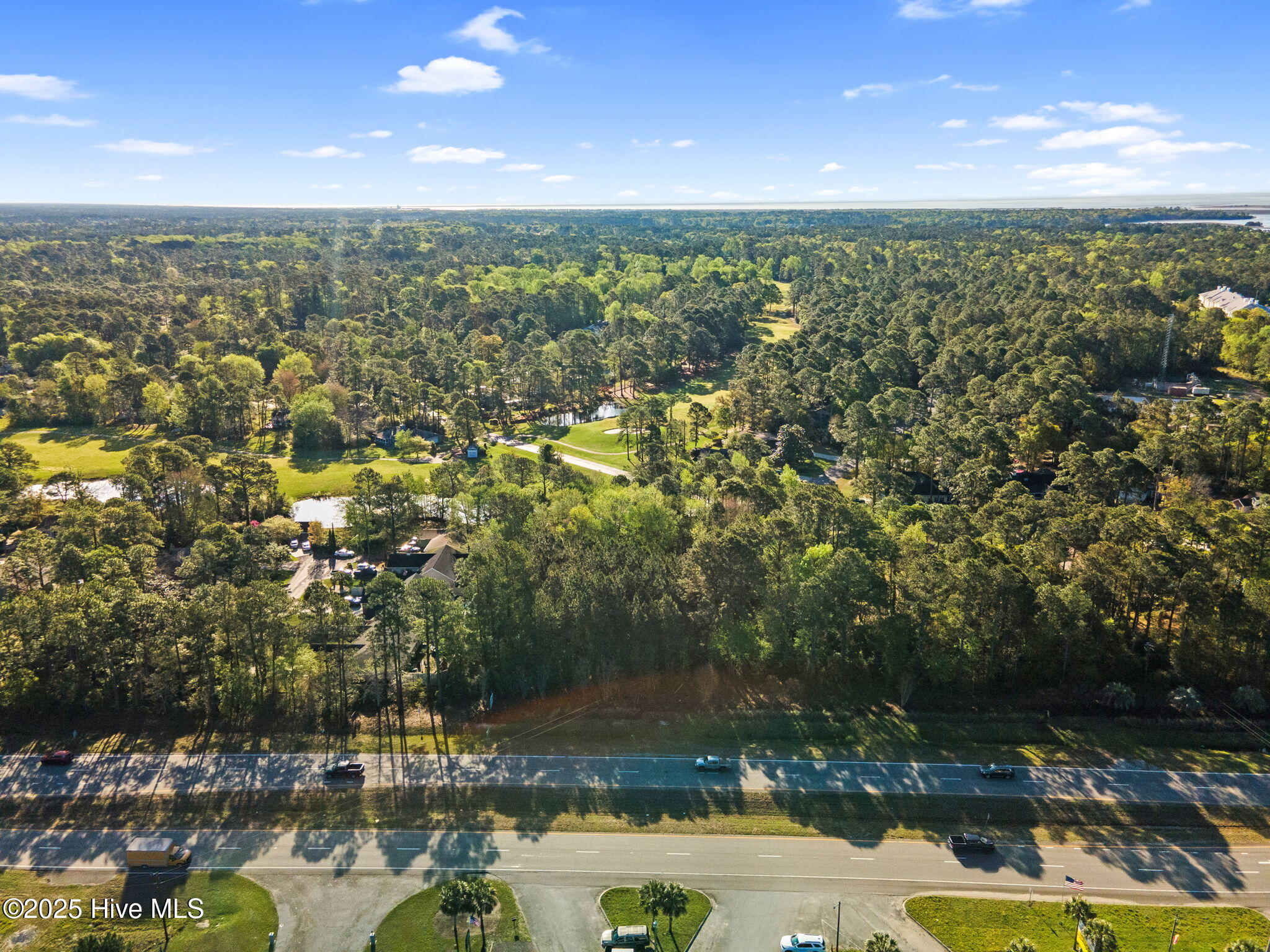 100541334 | Photo 10