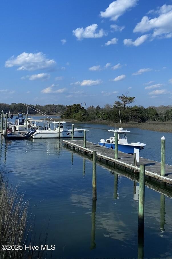 100520456 | Photo 37