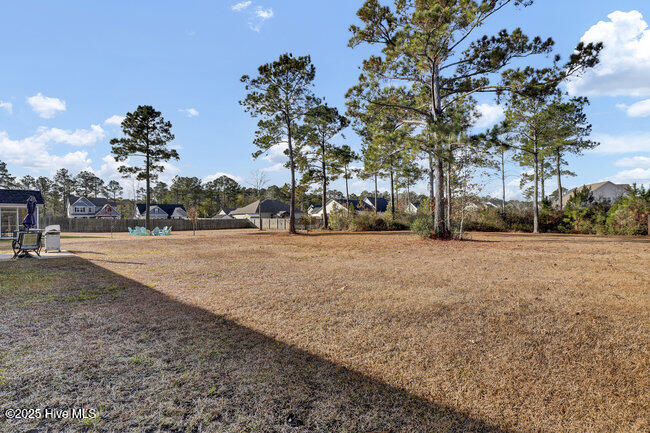 100545238 | Photo 28