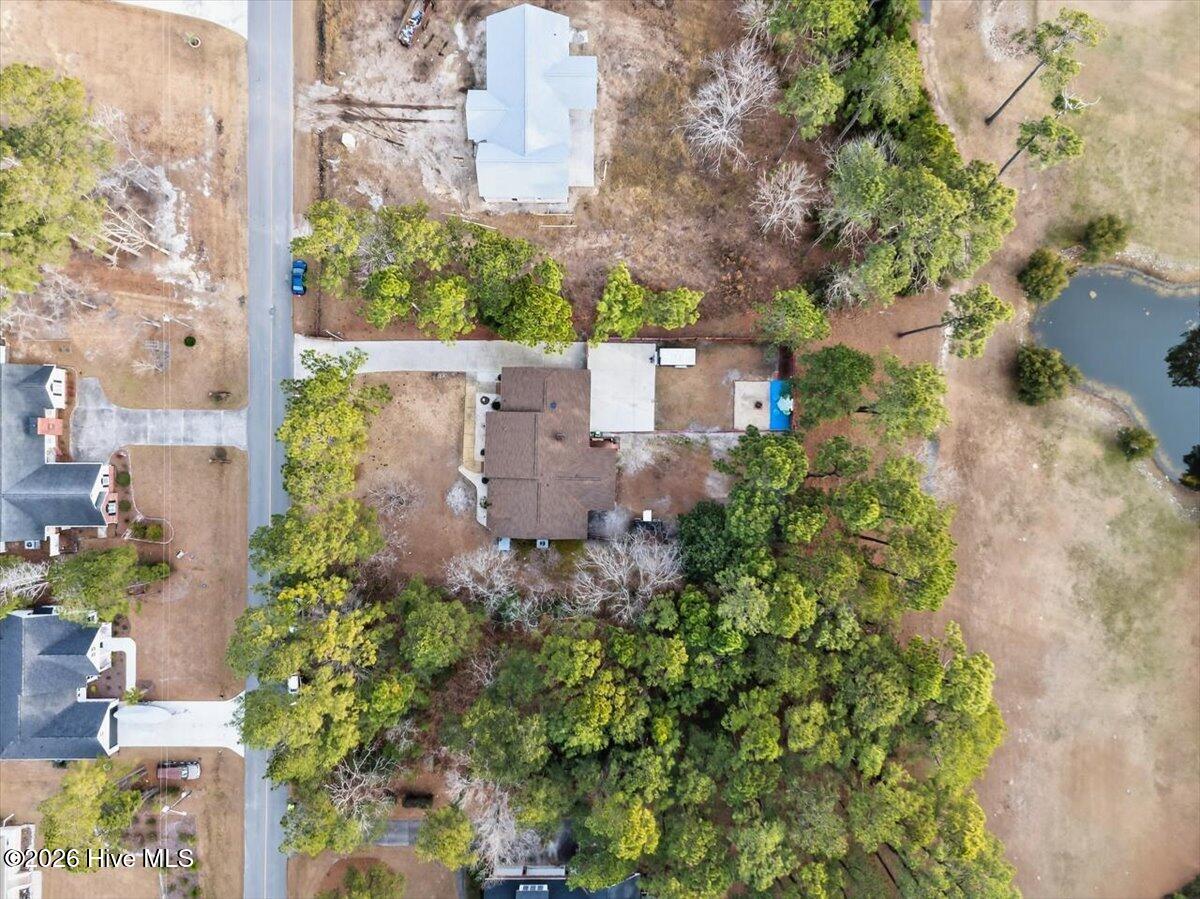 100554267 | Photo 53