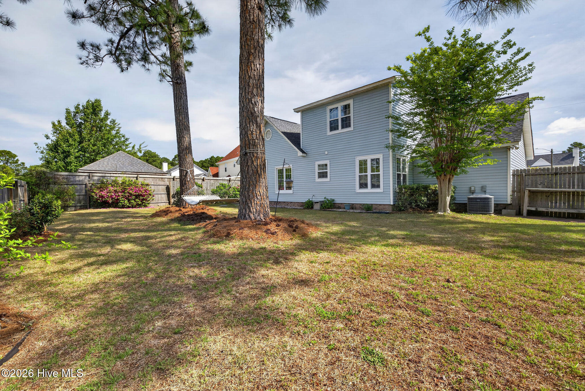 100567707 | Photo 10