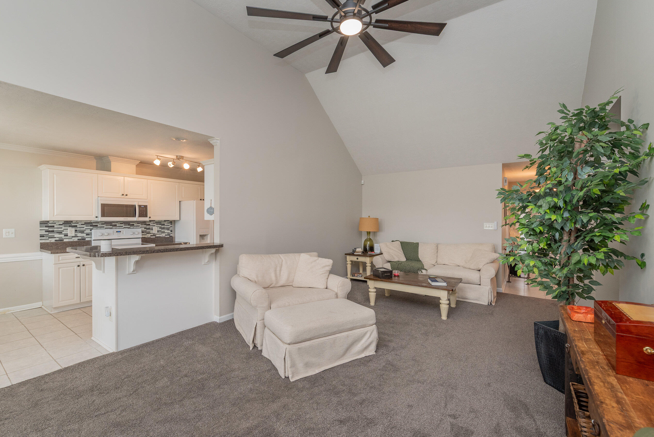 788 Michelle Court