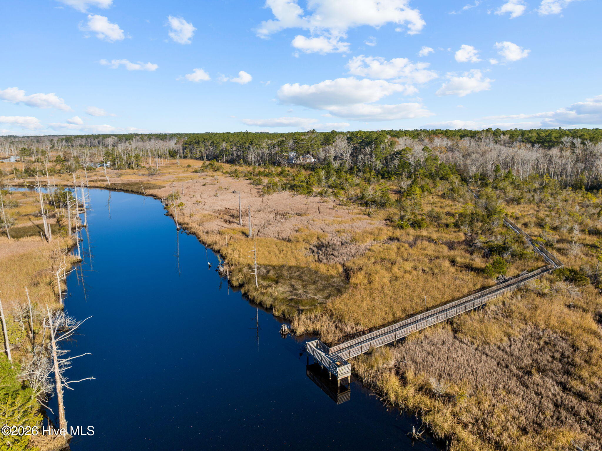 100563731 | Photo 101