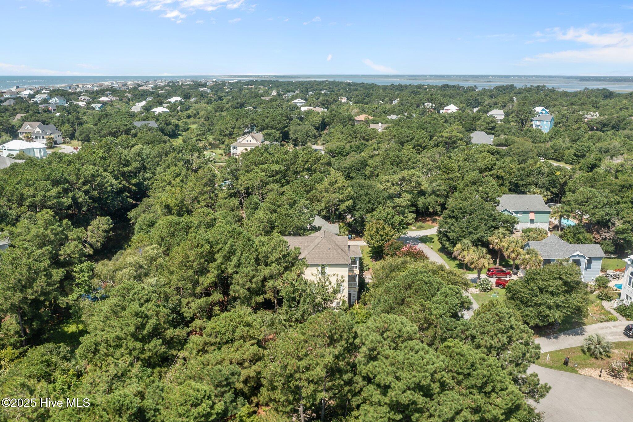 100518679 | Photo 51