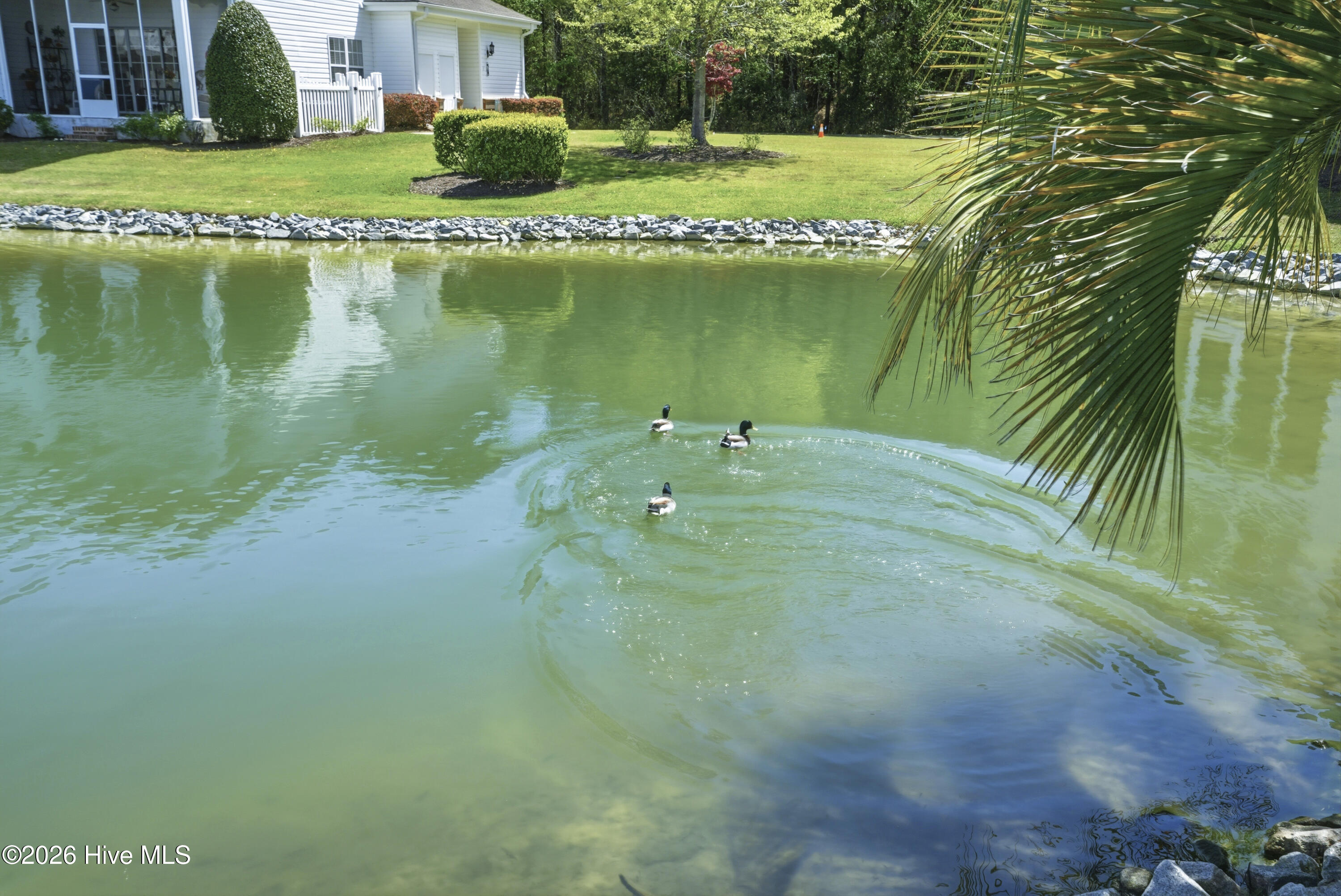 100564419 | Photo 46