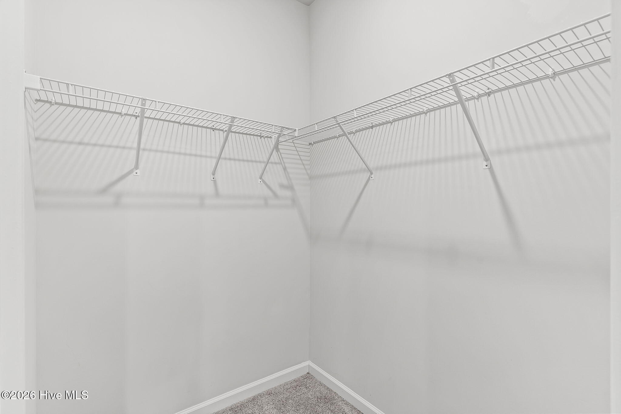 100563227 | Photo 21