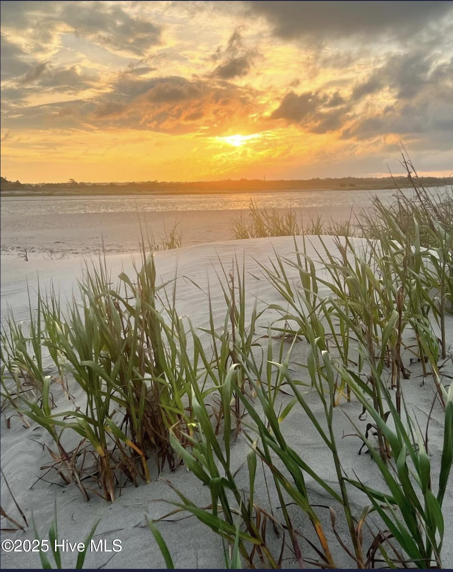 100537146 | Photo 57