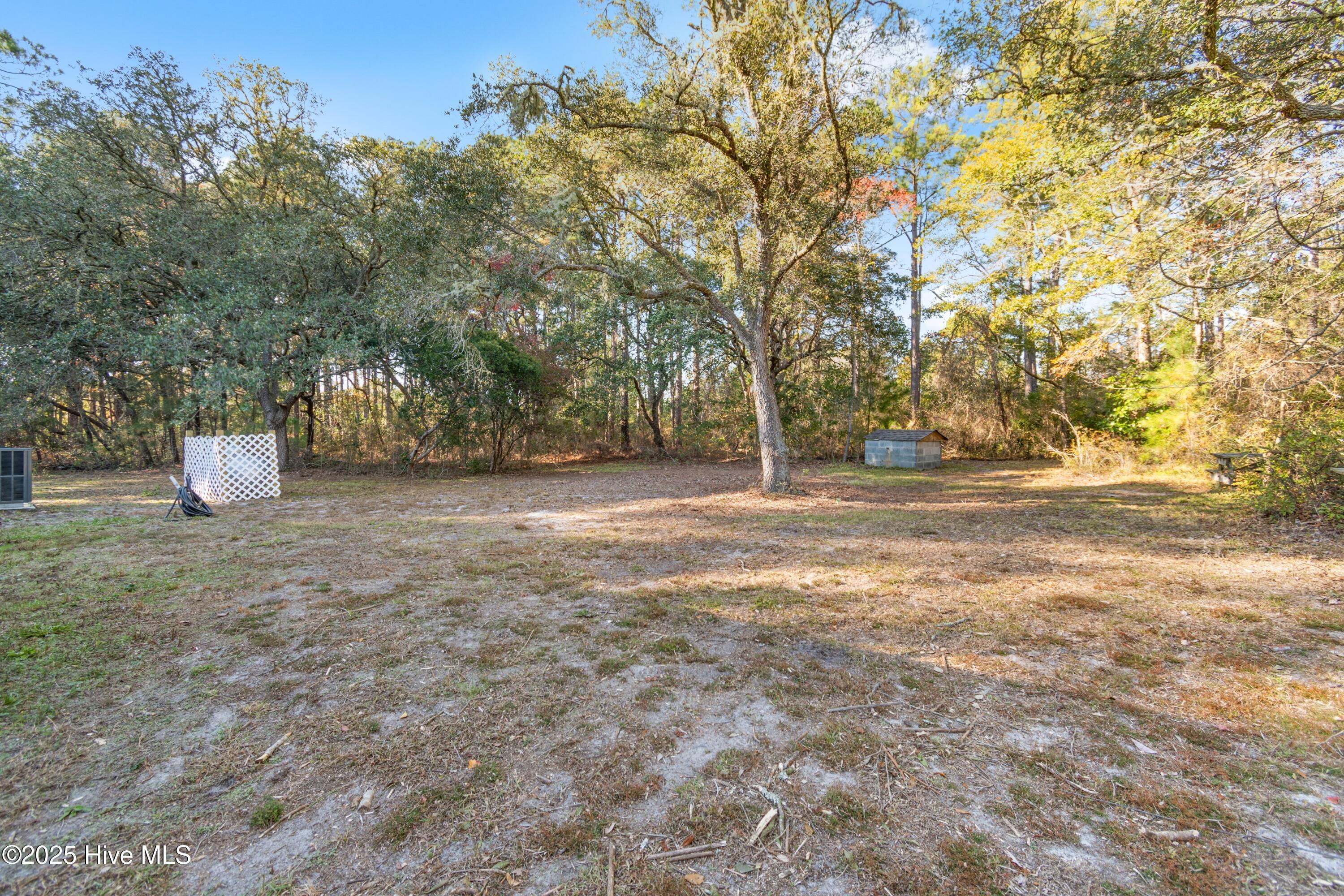 100541488 | Photo 19