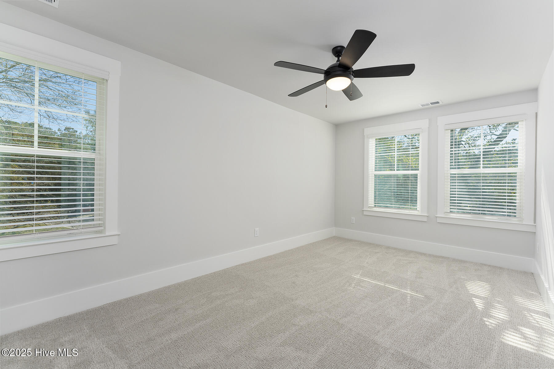 100506459 | Photo 21