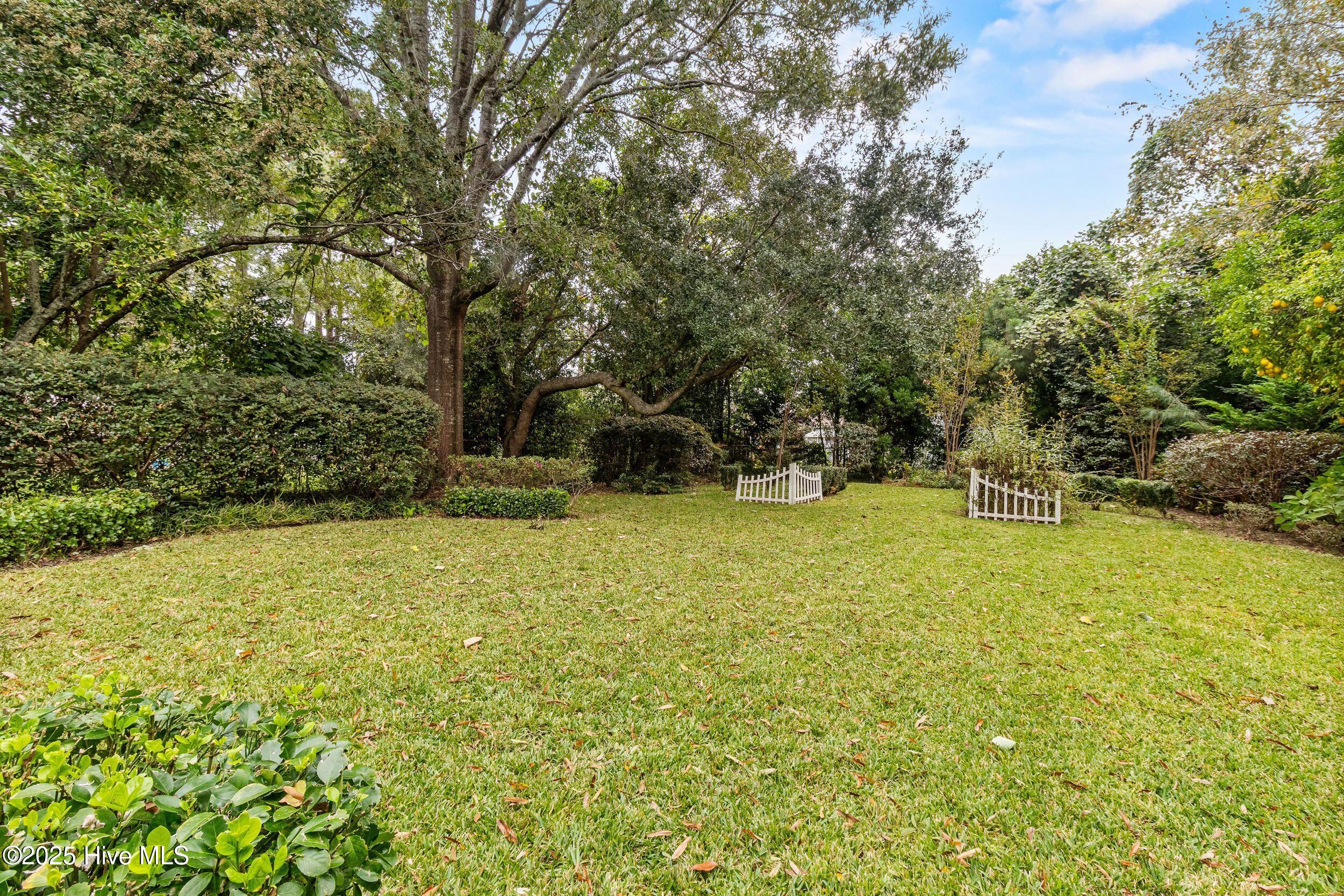 100538519 | Photo 27