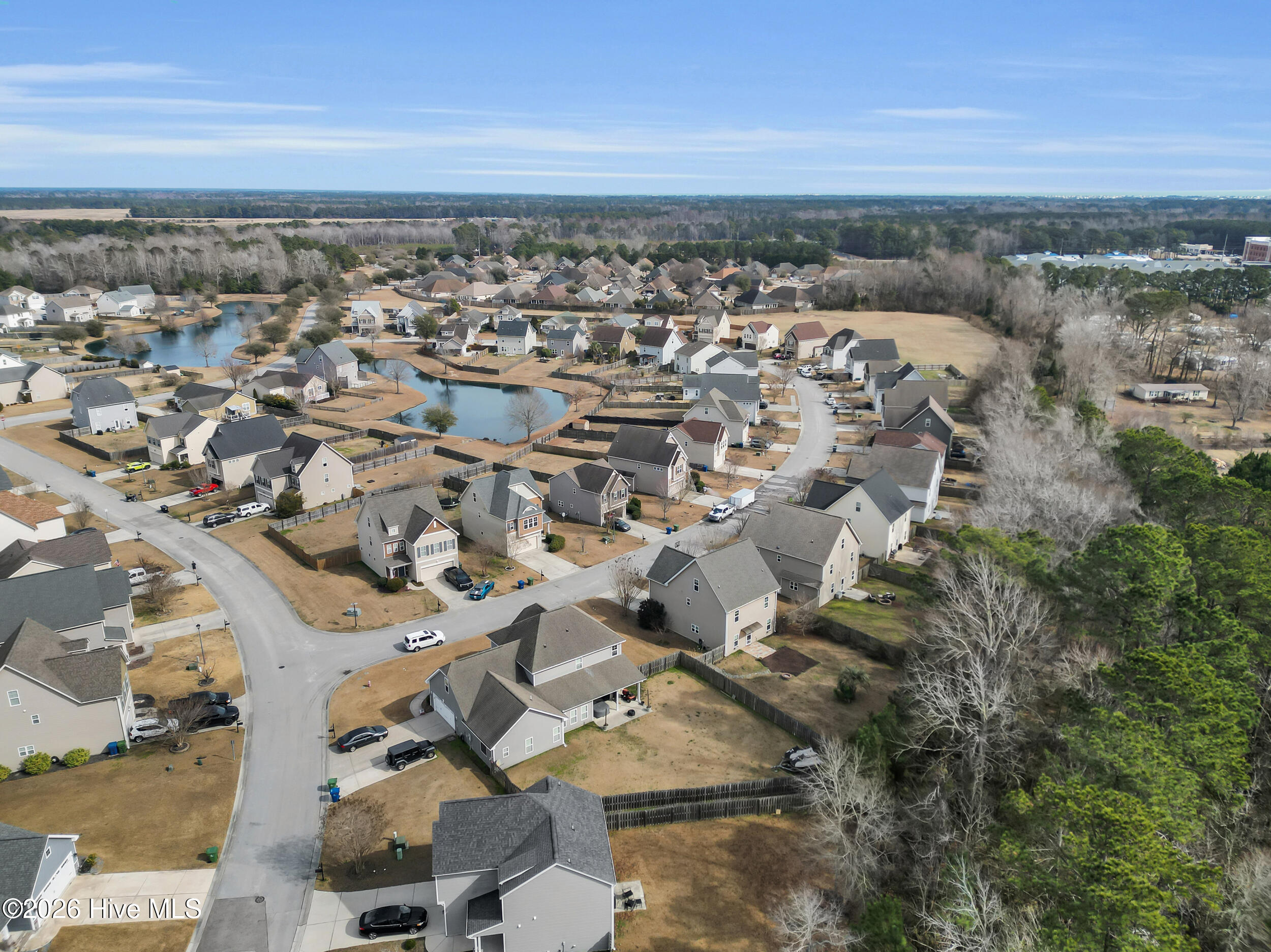 100554579 | Photo 47