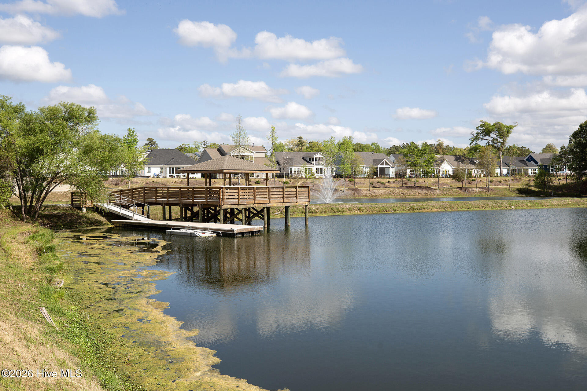 100563450 | Photo 67