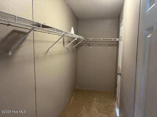 100544671 | Photo 12