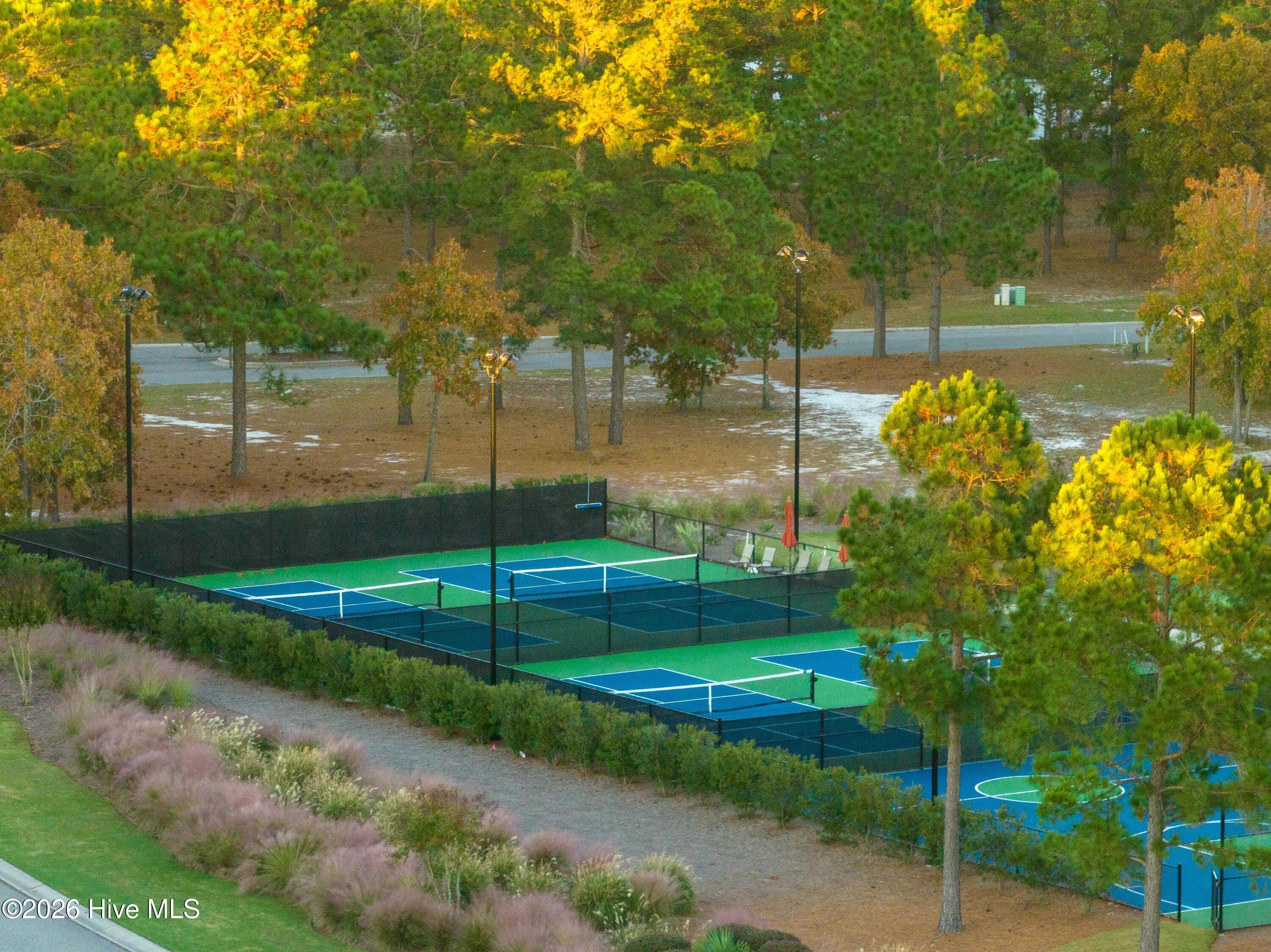 100561006 | Photo 23