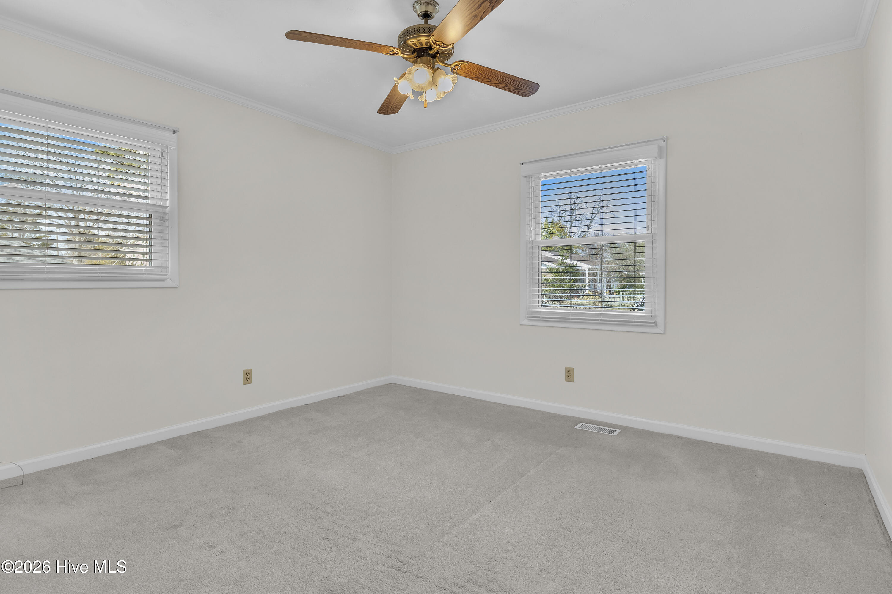 100555841 | Photo 33