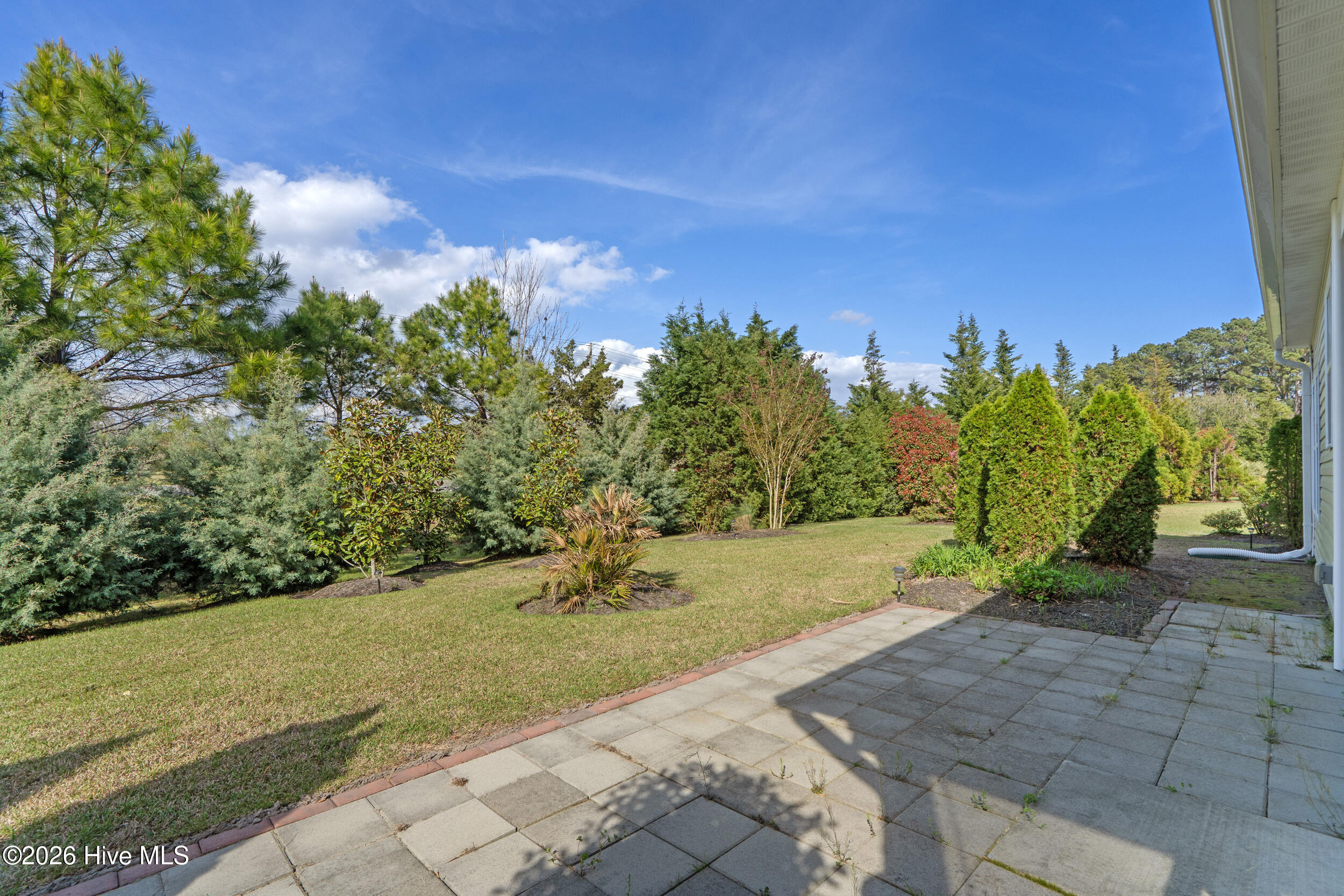 100563305 | Photo 35