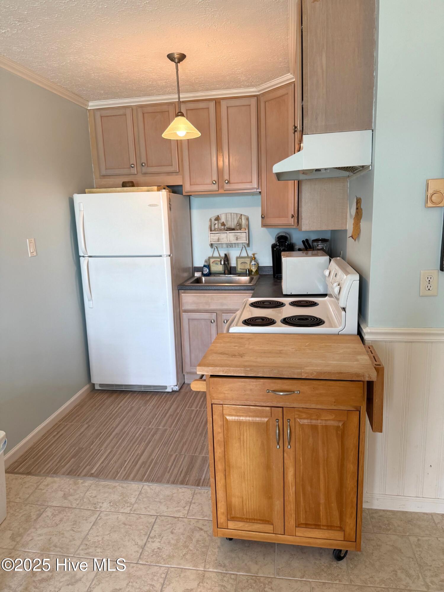 100521118 | Photo 12